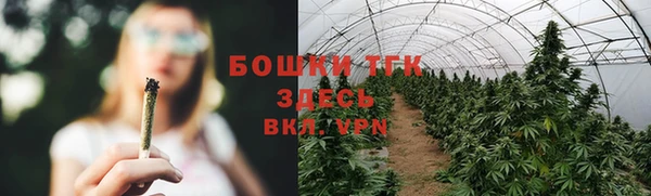ГАЛЛЮЦИНОГЕННЫЕ ГРИБЫ Алексин
