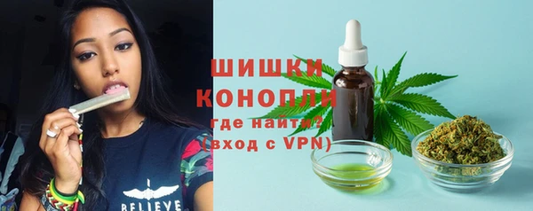 прущие грибы Баксан