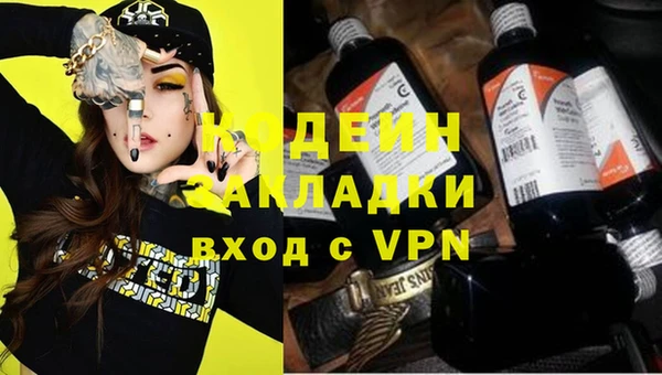 индика Слюдянка